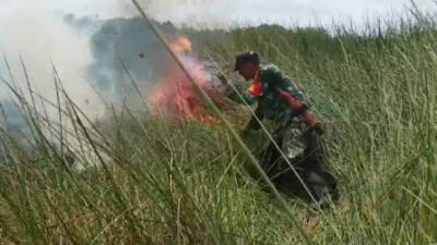 Polri, TNI Serta Masyarakat Padamkan Kebakaran Lahan di Pulau Enggano