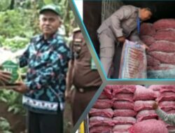 Dinas Tanaman Pangan Hortikultura dan Peternakan Menyalurkan  Bantuan Bibit Bawang Merah