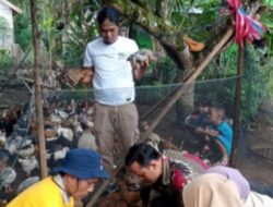 Desa Teluk Ajang Kecamatan Air Padang Tingkatkan Ketahanan Pagan