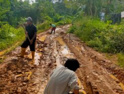 Begini Lah Kondisi Akses Jalan Menuju Desa Kinal Jaya Yang Cukup Parah Tak Ada Perhatian