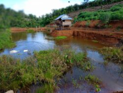 Sekjen Ormas LAKI Bengkulu Utara Soroti Realisasi Dana Desa Tanjung Karet Tahun 2023