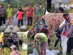 Pemdes Tanjung Anom Lepas 40000 Ribu Bibit Ikan Nila